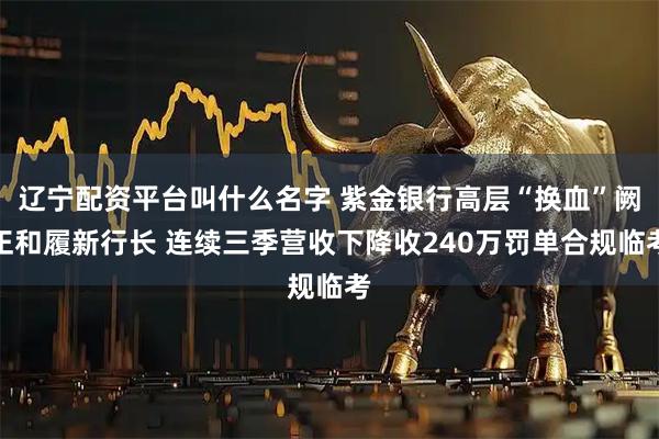 辽宁配资平台叫什么名字 紫金银行高层“换血”阙正和履新行长 连续三季营收下降收240万罚单合规临考
