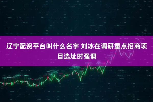 辽宁配资平台叫什么名字 刘冰在调研重点招商项目选址时强调